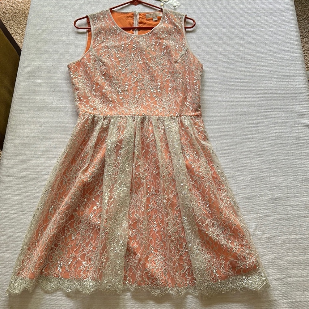 Gorgeous NWT Erin Fetherston dress size 10 metallic lace/canteloupe